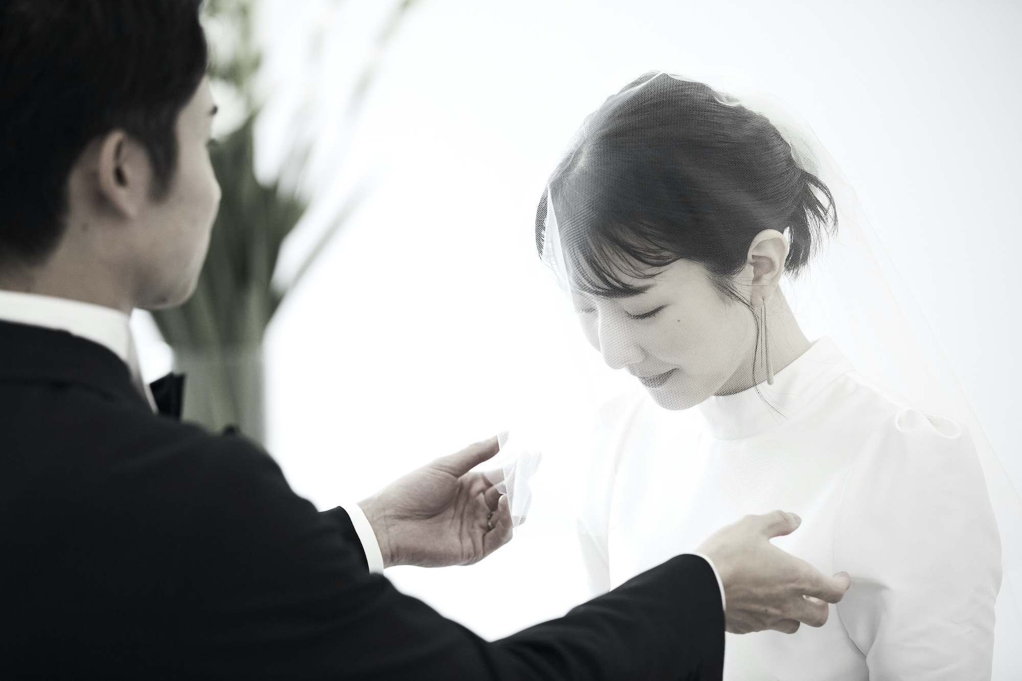 「友と 旅と ウェディング」