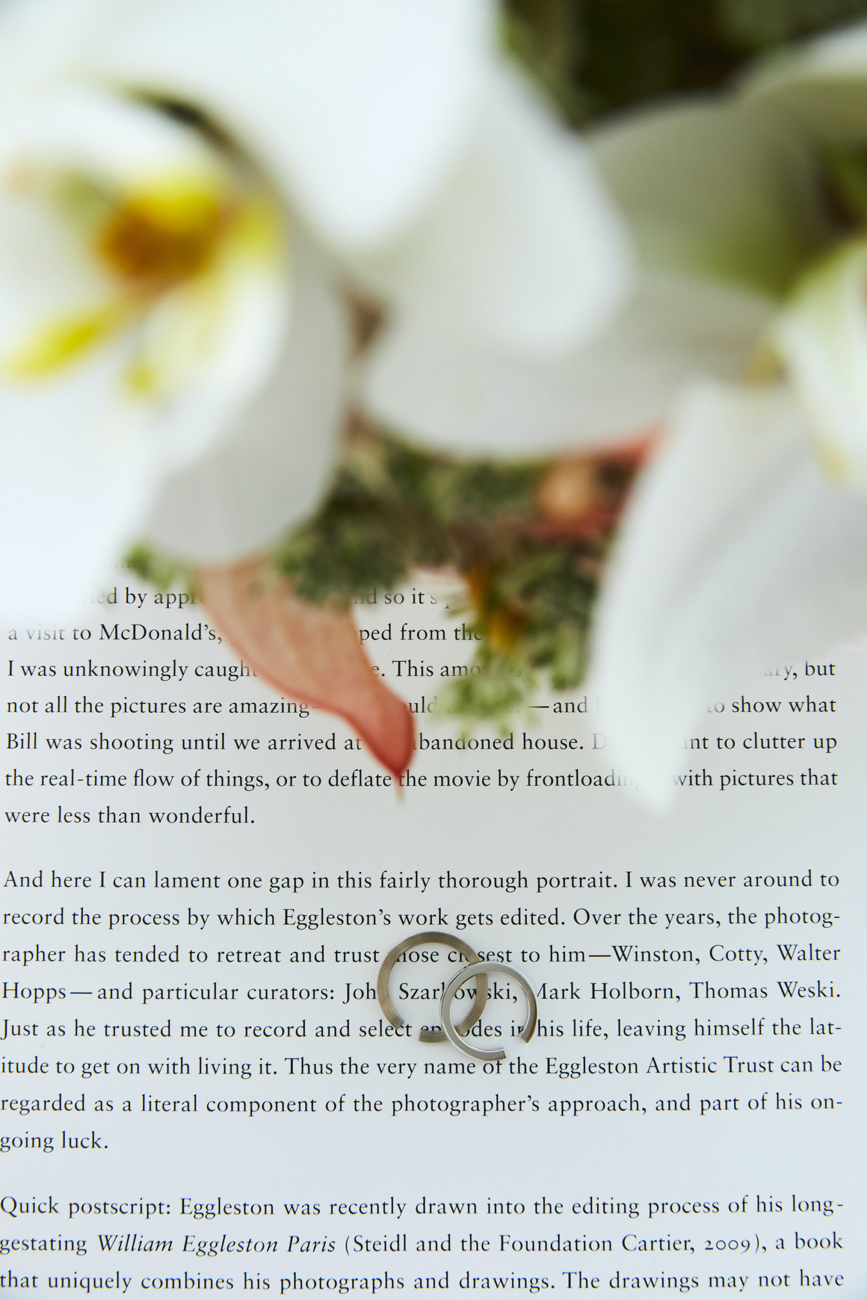 「友と 旅と ウェディング」