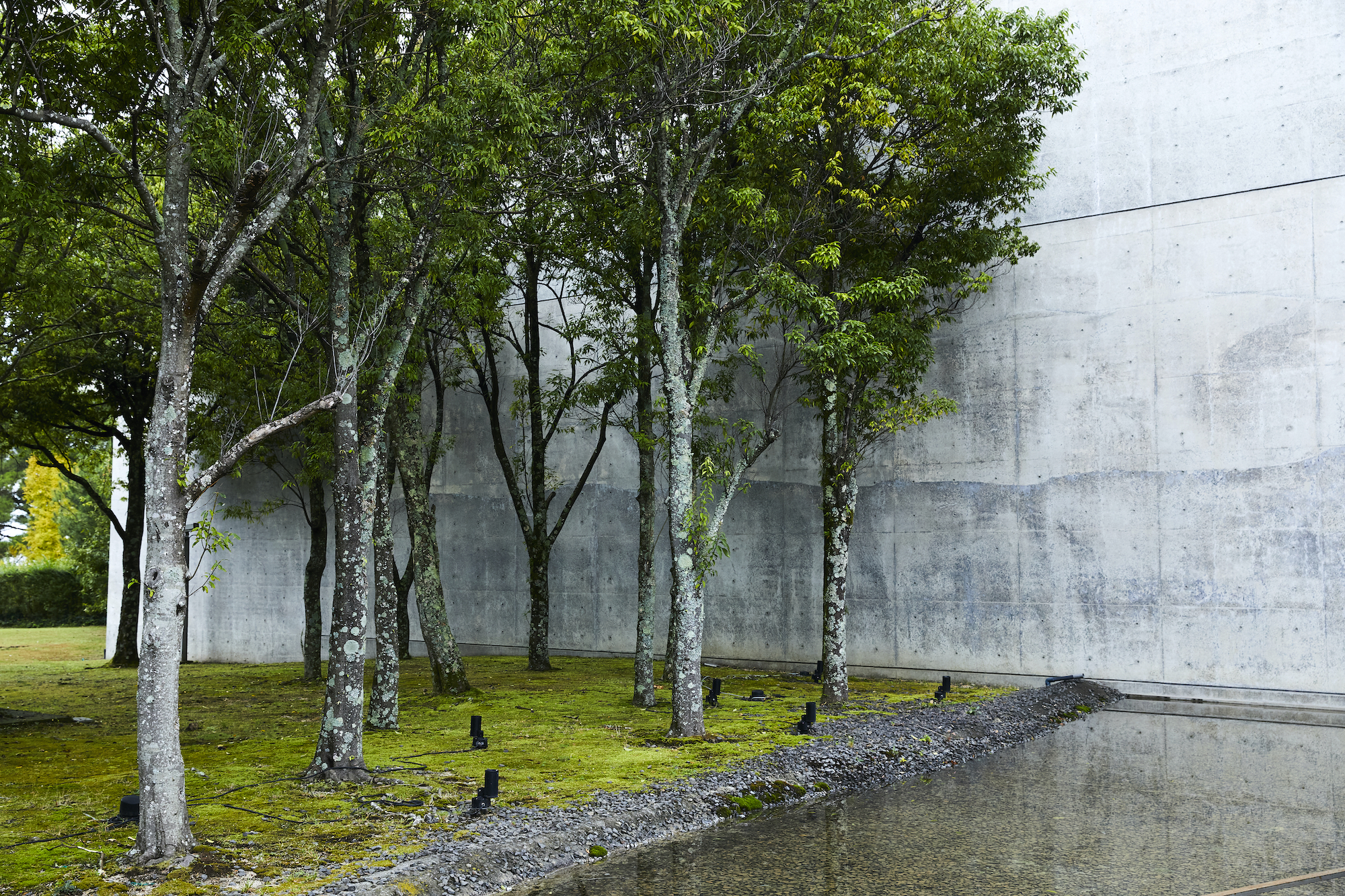 「友と 旅と ウェディング」