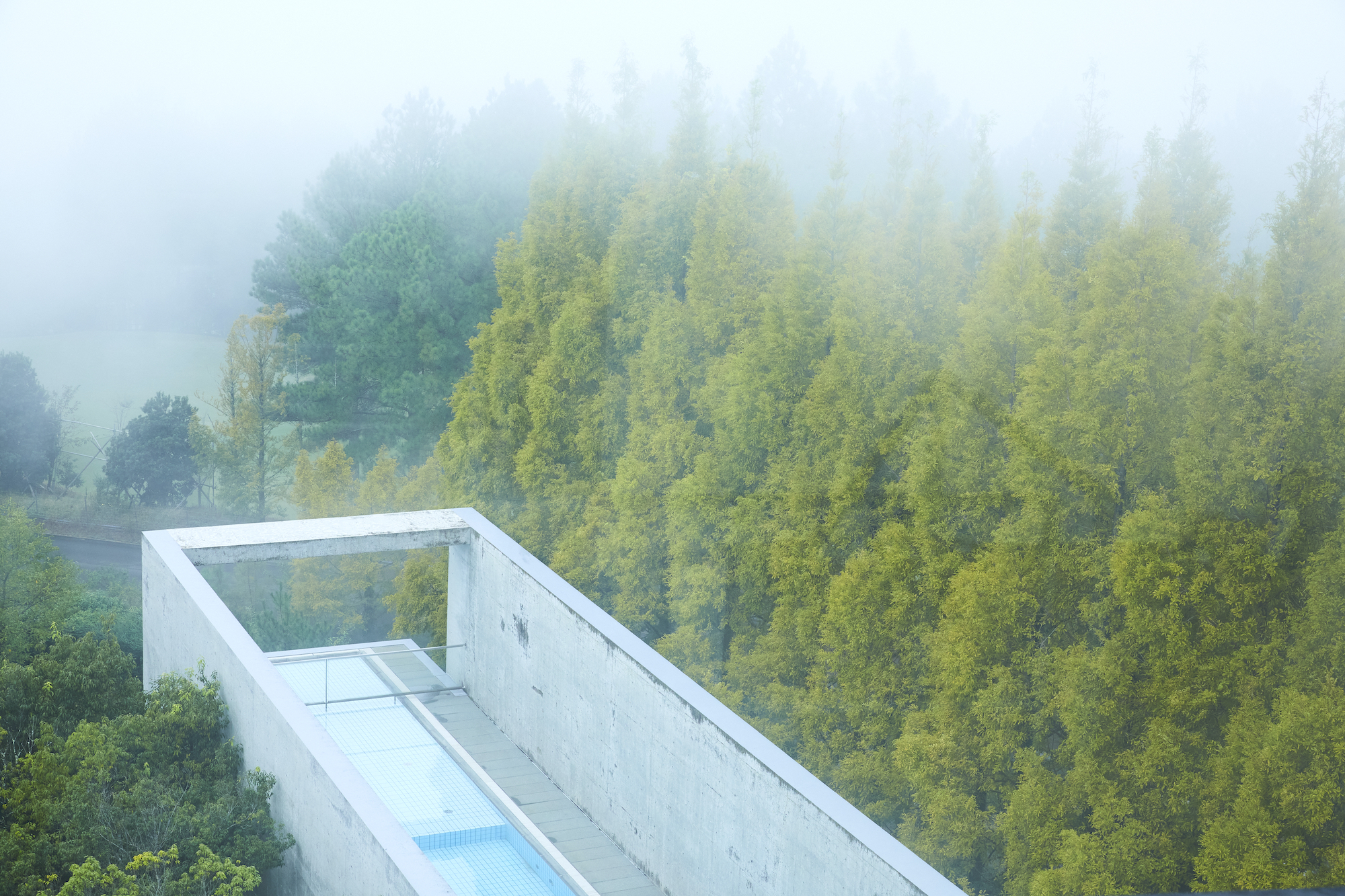 「友と 旅と ウェディング」