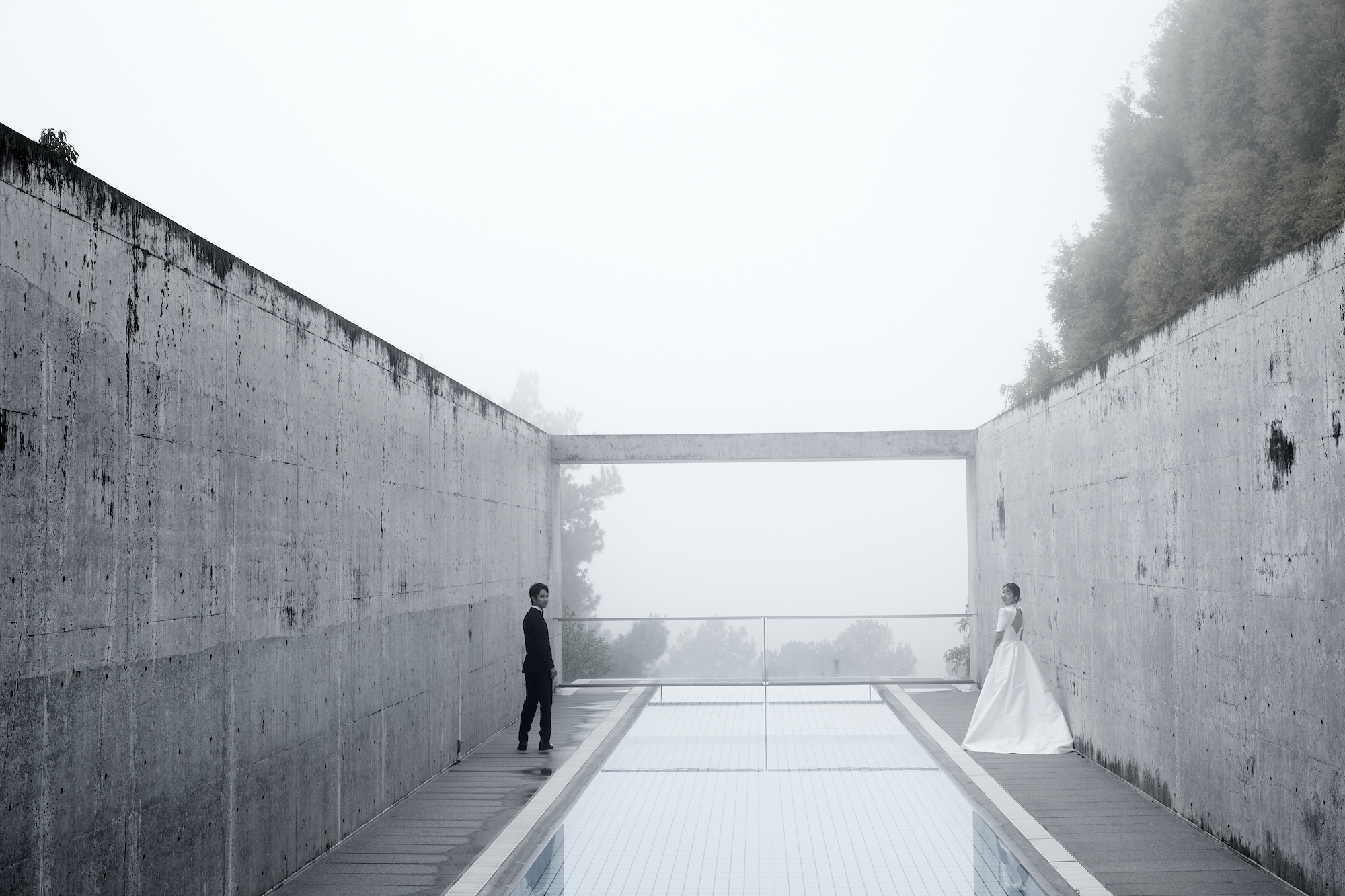 「友と 旅と ウェディング」